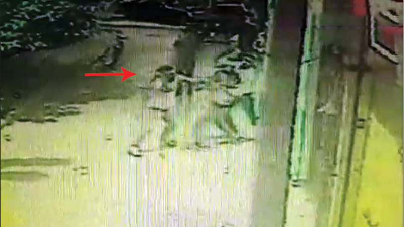 قاتل به تماشای فیلم جنایتش نشست