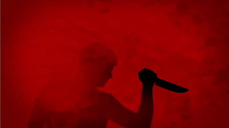 خودکشی بعد از قتل همسر و مادرزن