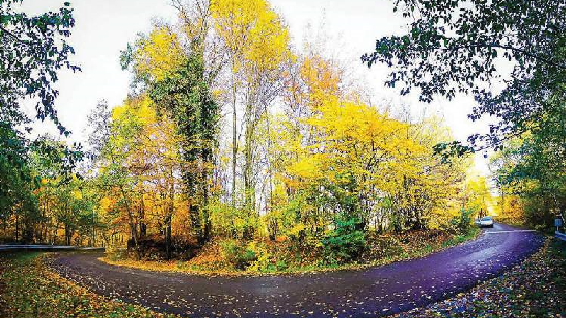 معرفی بهترین شهرها برای سفر پاییزی