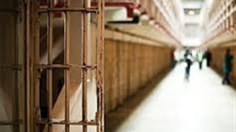 پشت پرده صنعت بردگی جنسی