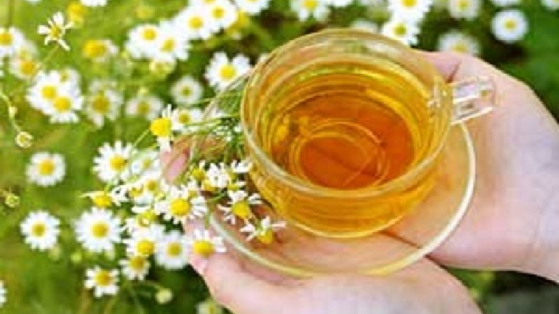 بابونه چه تاثیری در درمان سرماخوردگی دارد