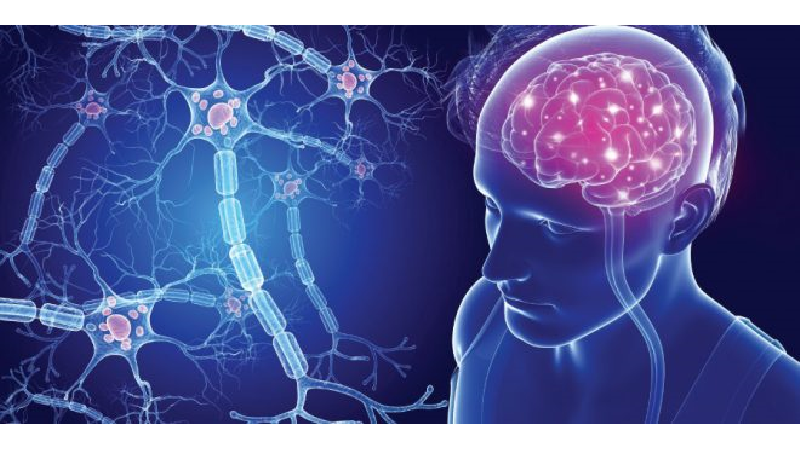 عوارض بیماری ام اس چیست