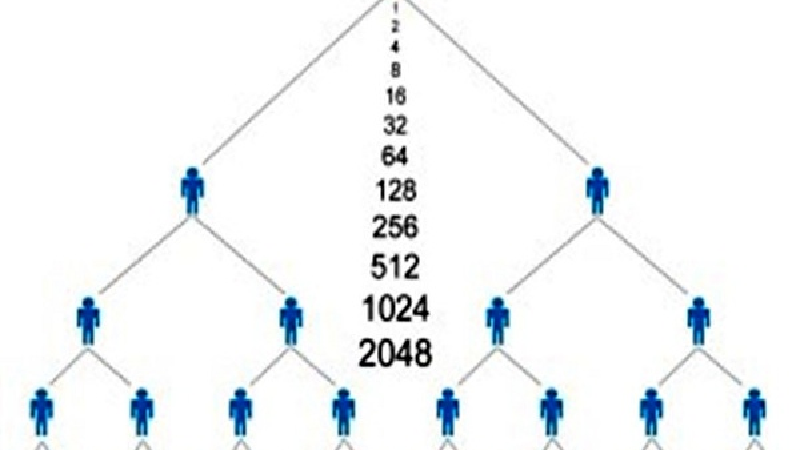 آیا شرکت کیونت که وعده استخدام می‌دهد، قانونی است؟