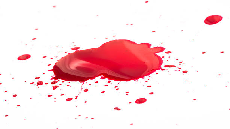 اعتراف هولناک به قتل مادر