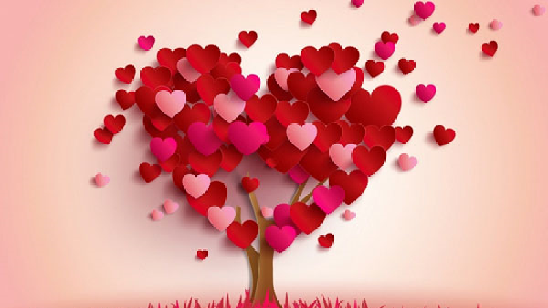 عشق‌مان را به طرف مقابل چه زمانی باید ابراز کنیم