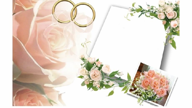 عجیب‌ترین ازدواج‌های جهان؛ از عروسی با جسد تا ازدواج با ترن هوایی