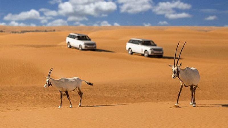 سفر به کویر مرنجاب ؛راهنمای کامل + جاهای دیدنی