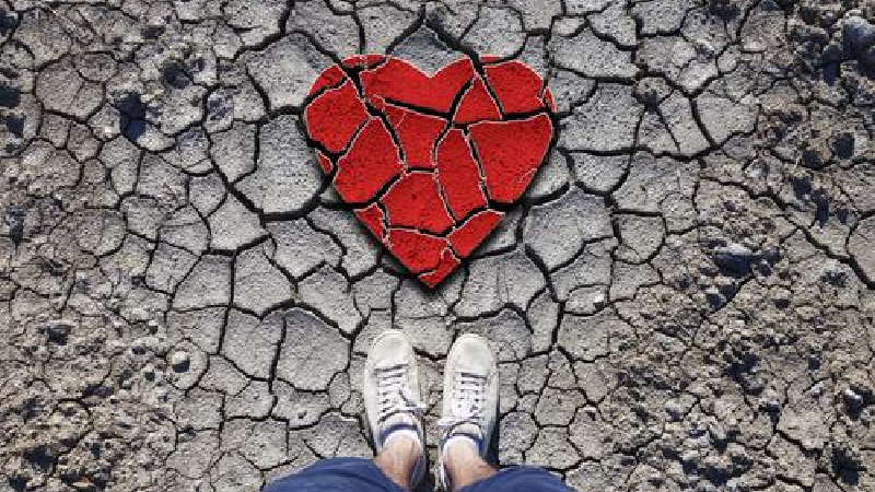 سرنوشت تلخ پسری که عاشق دختر مسافر شد