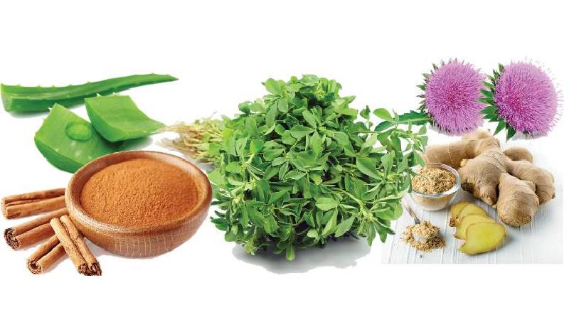 کنترل قند خون با گیاهان و روش‌های طبیعی