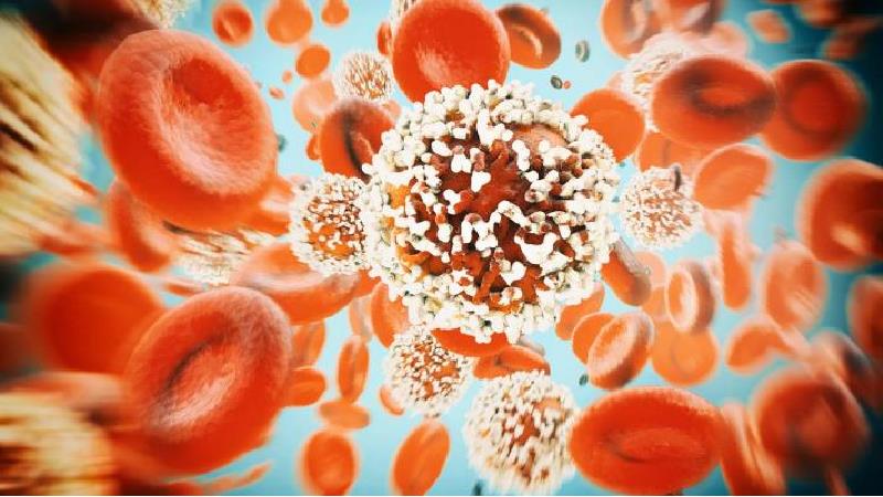 5 خوراکی برای پیشگیری از سرطان