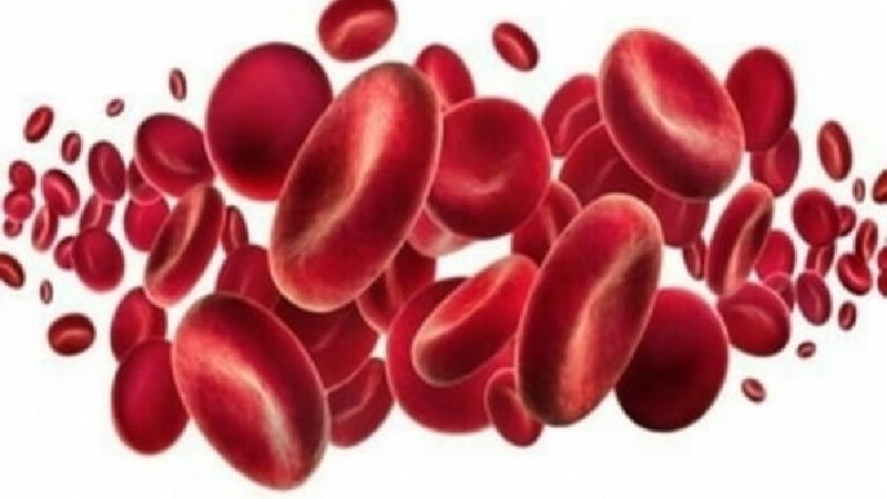 برای جبران کم خونی چی بخوریم