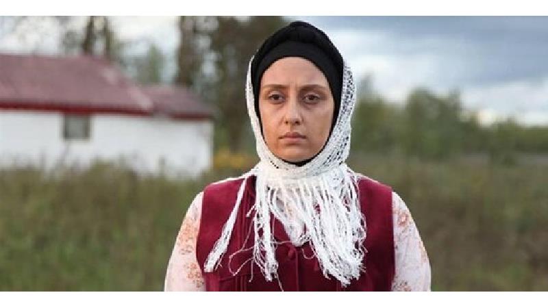 الهام طهموری توضیح داد: چرا بازیگر نقش وارش تغییر کرد