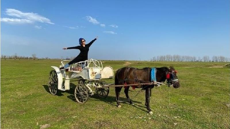 الناز شاکردوست سوار بر کالسکه سیندرلا