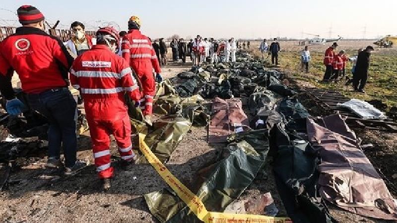 علت سقوط هواپیما از زبان رییس سازمان هواپیمایی