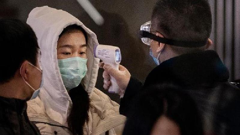 آیا خفاش عامل شیوع ویروس کرونا است؟