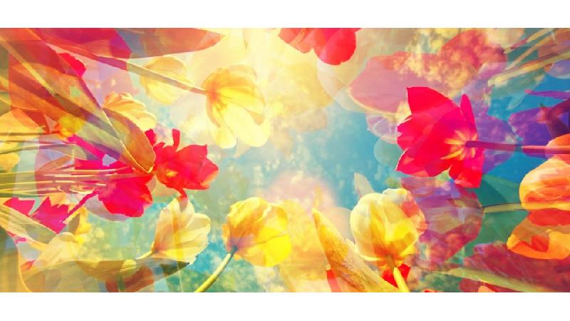 25 فرمول ساده برای این‌که شاد زندگی کنیم