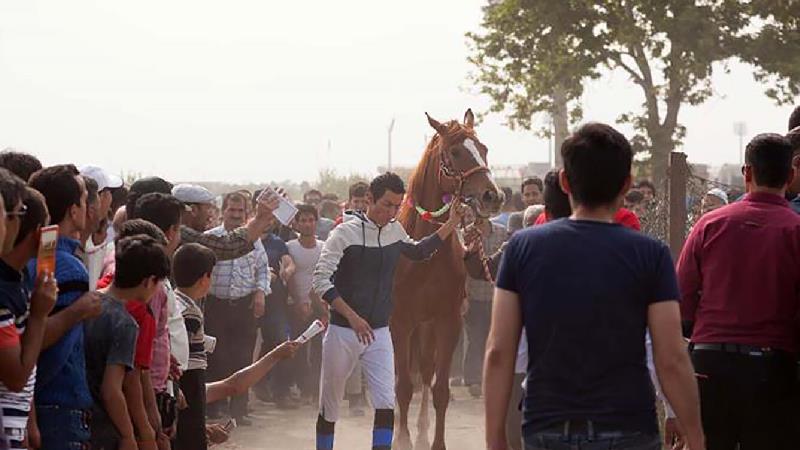 فیلم تومان؛ خلاصه داستان، بازیگران و 3 نقد متفاوت