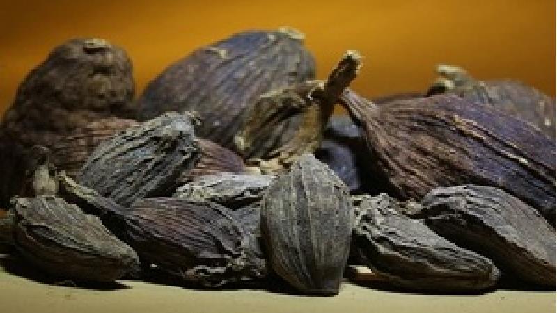 خاصیت‌های هلیله سیاه چیست؛ از لاغری و پیشگیری از سیاه شدن مو تا تقویت معده