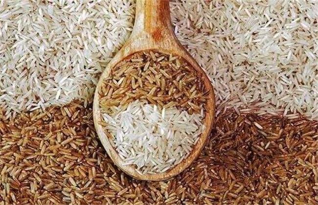 برنج قهوه‌ای؛ از خاصیت‌ها و تاثیر بر لاغری تا دستور پخت