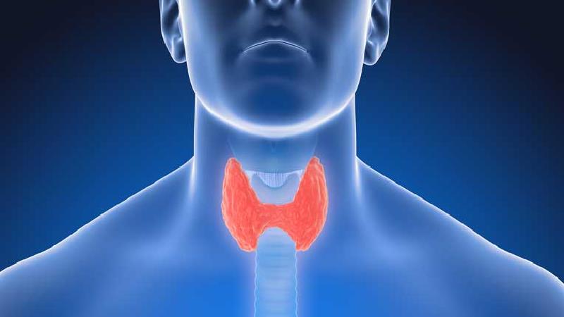 کم کاری تیروئید؛ علل، علائم و عوارض در کودکان و بزرگسالان+ روش‌های درمان با طب سنتی