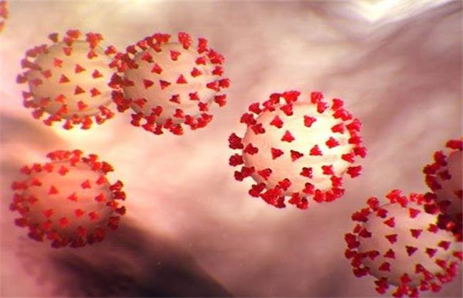 نتیجه تازه‌ترین تحقیقات درباره کورونا؛ واگیری از آنفلوانزا کمتر اما شدت بیماری بیشتر