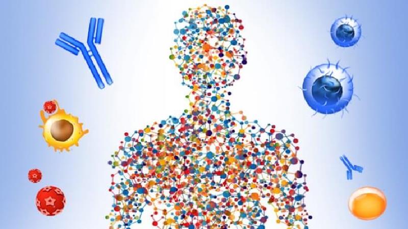 سیستم ایمنی بدن چگونه تقویت می‌شود