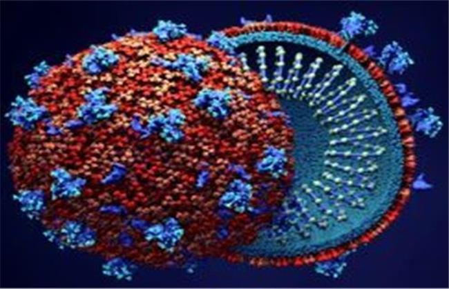 آیا ویروس کرونا رو به نابودی است؟
