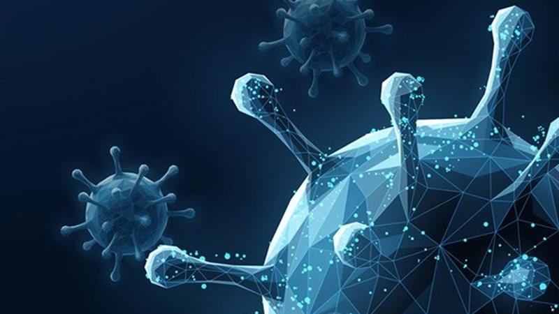 ۱۶ توصیه مهم برای پیشگیری از بیماری کرونا