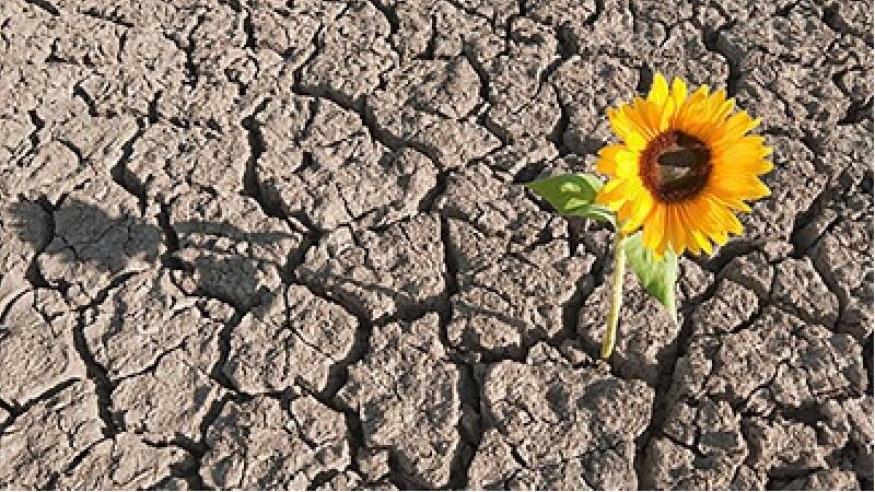 10 روش برای این‌که مقاوت خود را در برابر سختی‌ها بیشتر کنیم