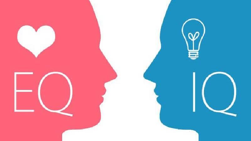 هوش هیجانی چیست و چه نقشی در موفقیت ما دارد