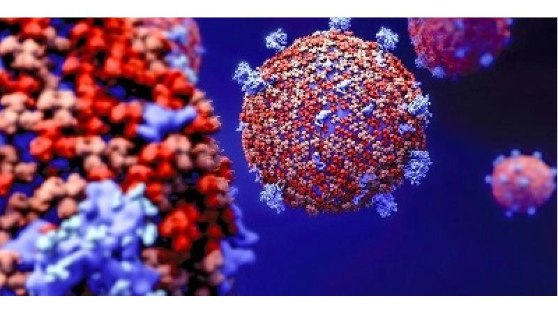 40 نفر در یک عروسی به کرونا مبتلا شدند