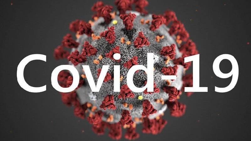 ویروس کرونا عاقبت چه می‌شود