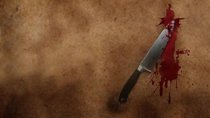 خونی که برای غذای مورد علاقه ریخته شد‌