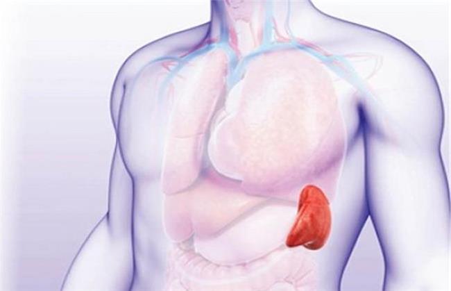دلایل بزرگ شدن طحال چیست