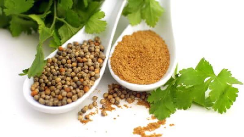 گشنیز برای چی خوب است؛ از خاصیت برای پوست تا سم زدایی از بدن