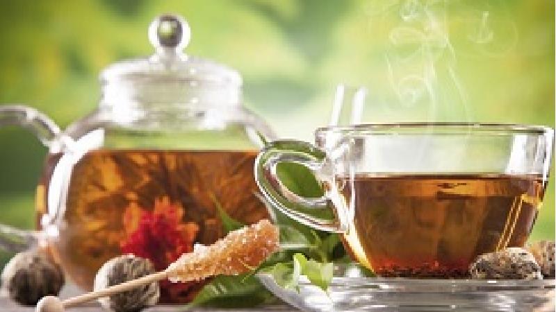 با خاصیت‌های کاکوتی آشنا شوید؛ از زخم معده تا پاکسازی پوست