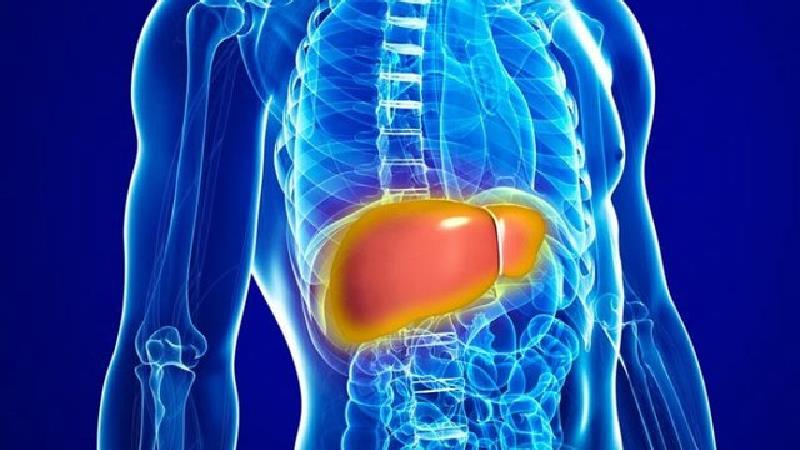 عصاره‌های گیاهی برای درمان کبد چرب