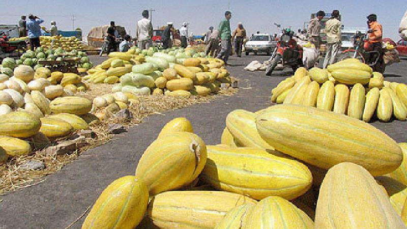 خربزه چه خاصیت‌هایی دارد