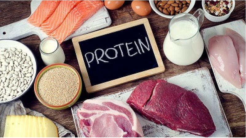 بهترین خوراکی‌های جایگزین گوشت برای تامین پروتئین کدام‌ها هستند