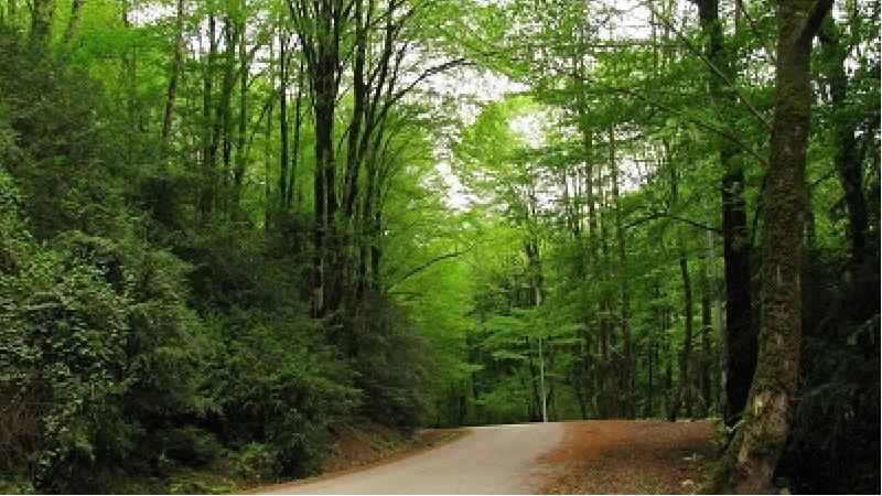 لفور کجا است و چه دیدنی‌هایی دارد