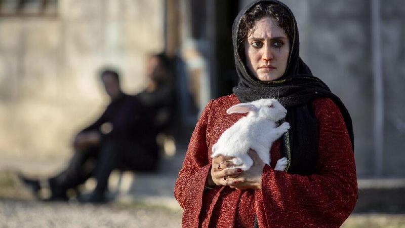 الناز شاکردوست در نقشی تازه