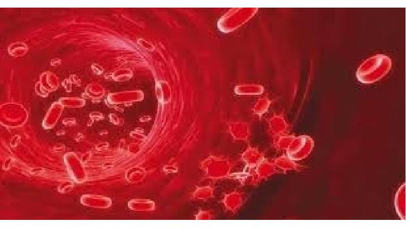 درمان غلظت خون در طب سنتی چگونه است؛ توضیحات یک متخصص