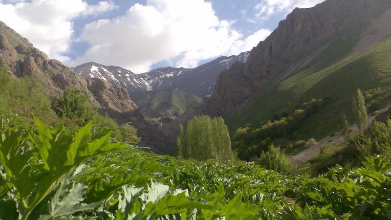 روستای لالان کجا است و چگونه باید برویم + آدرس