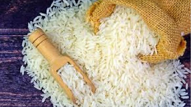 شپشک یا کرم برنج چطور از بین می‌رود