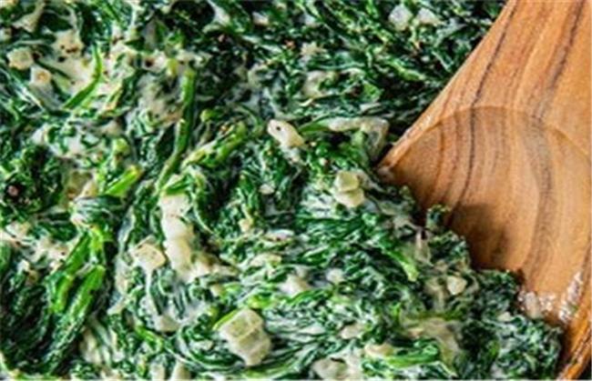 طرز تهیه انواع بورانی‌ها؛ از بادمجان و اسفناج تا لبو