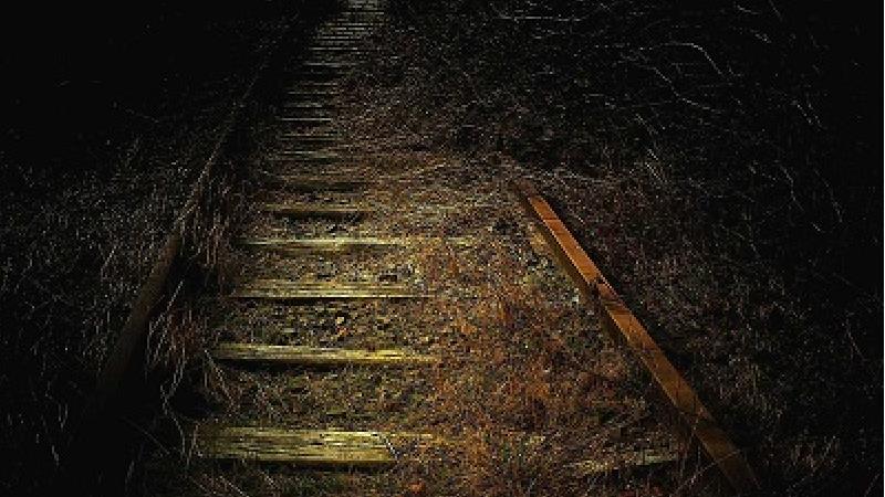 سرگذشت سیاه زنی که می‌خواست اروپایی زندگی کند