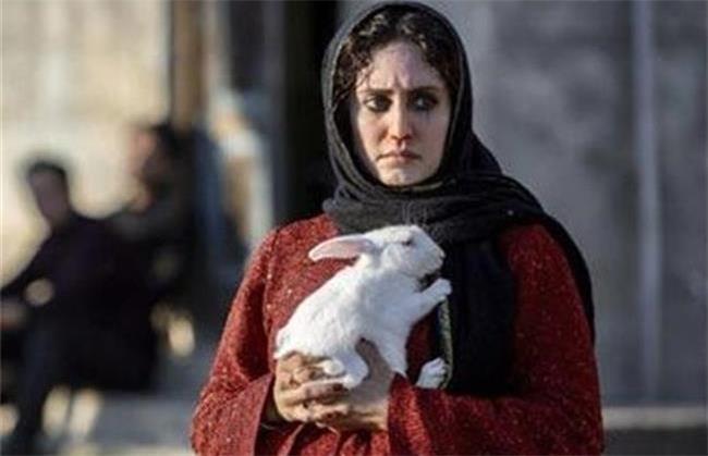 آیا موفقیت‌های الناز شاکردوست تکرار می‌شود