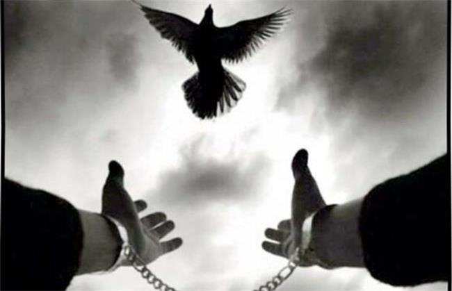 گفت‌و‌گو با قاتلی که با گلریزان محسن چاوشی از قصاص رهایی یافت