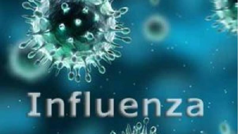 چند نوع ویروس آنفولانزا داریم؟