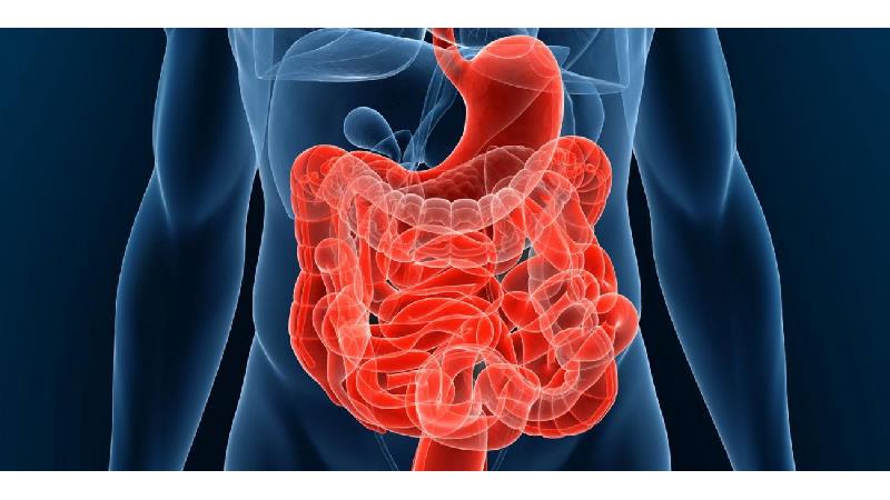 یبوست؛ علایم، عوارض، و راه درمان و پیشگیری